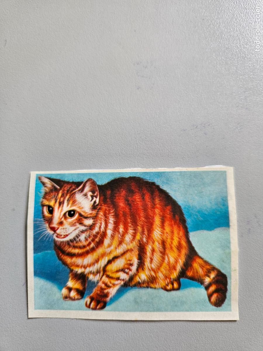 Coleccionismo Cromos antiguos: Panorama animales y plantas cromo n&ordm; 132, &aacute;lbum Maga, 1976