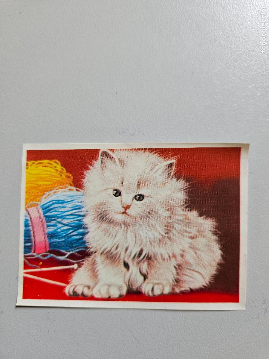 Coleccionismo Cromos antiguos: Panorama animales y plantas cromo n&ordm; 134, &aacute;lbum Maga, 1976