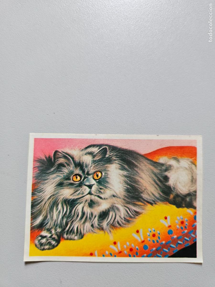 Coleccionismo Cromos antiguos: Panorama animales y plantas cromo n&ordm; 135, &aacute;lbum Maga, 1976