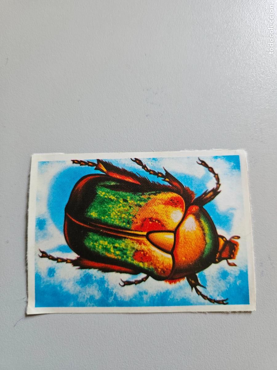 Coleccionismo Cromos antiguos: Panorama animales y plantas cromo n&ordm; 137, &aacute;lbum Maga, 1976