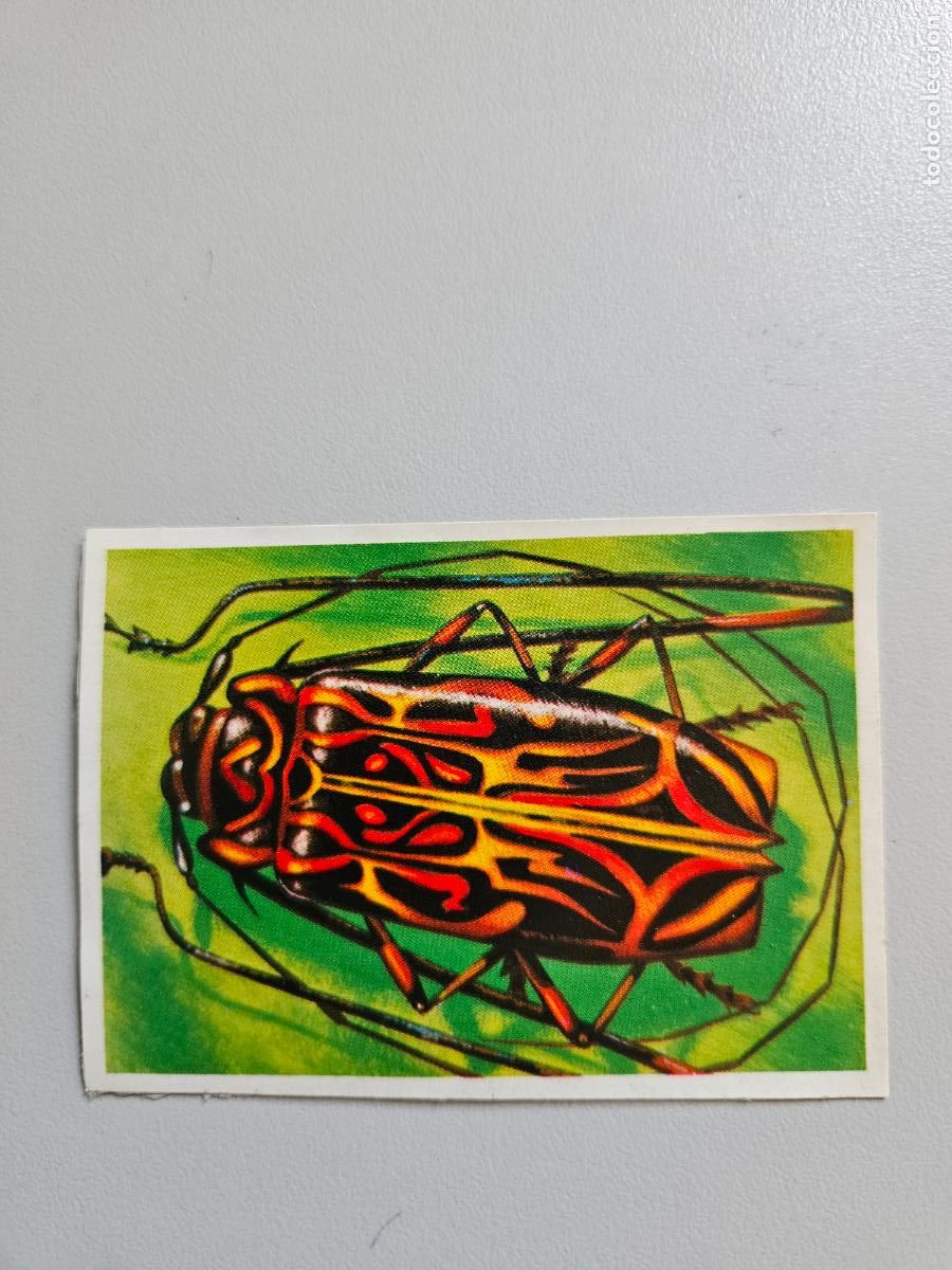 Coleccionismo Cromos antiguos: Panorama animales y plantas cromo n&ordm; 139, &aacute;lbum Maga, 1976