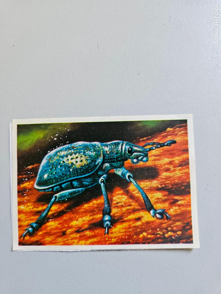 Coleccionismo Cromos antiguos: Panorama animales y plantas cromo n&ordm; 143, &aacute;lbum Maga, 1976
