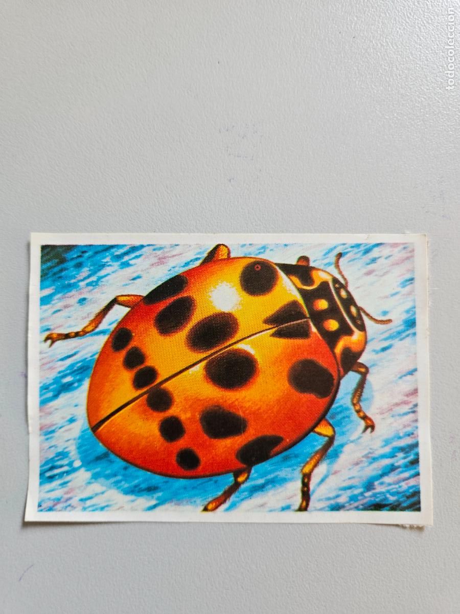 Coleccionismo Cromos antiguos: Panorama animales y plantas cromo n&ordm; 149, &aacute;lbum Maga, 1976