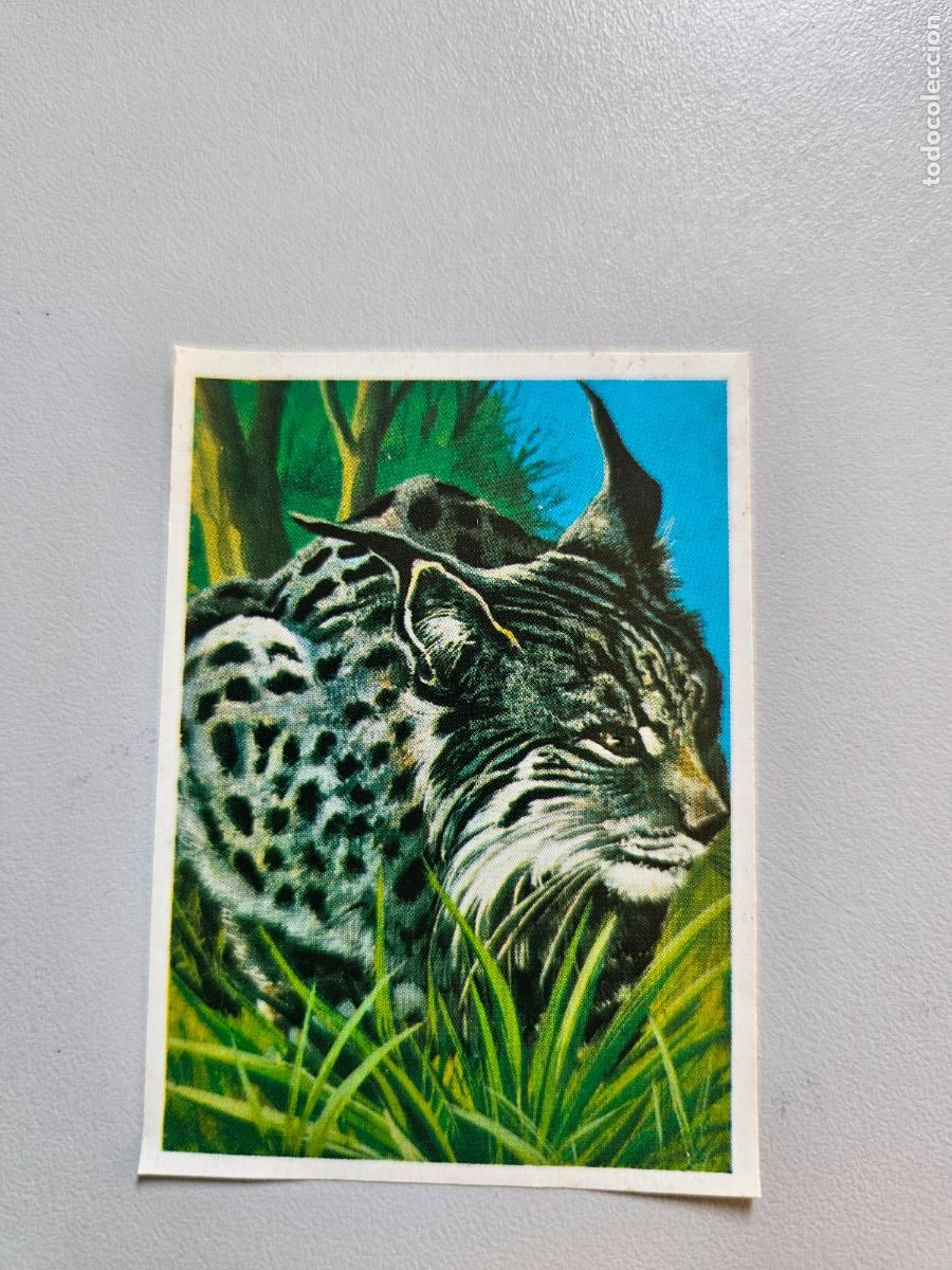 Coleccionismo Cromos antiguos: Panorama animales y plantas cromo n&ordm; 160, &aacute;lbum Maga, 1976