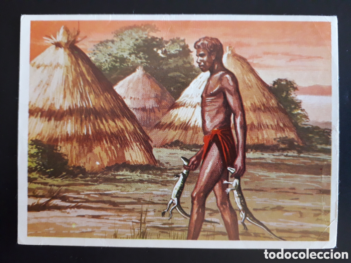 Coleccionismo Cromos antiguos: HOMBRES RAZAS Y COSTUMBRES N&deg; 272 RUIZ ROMERO 1972 SIN PEGAR. PEDIDO M&Iacute;NIMO 3&euro;