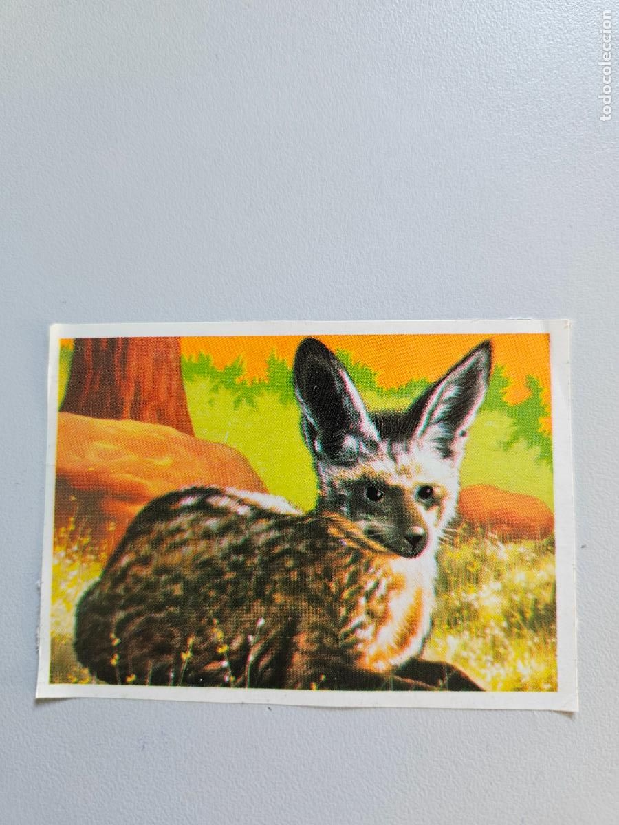 Coleccionismo Cromos antiguos: Panorama animales y plantas cromo n&ordm; 173, &aacute;lbum Maga, 1976