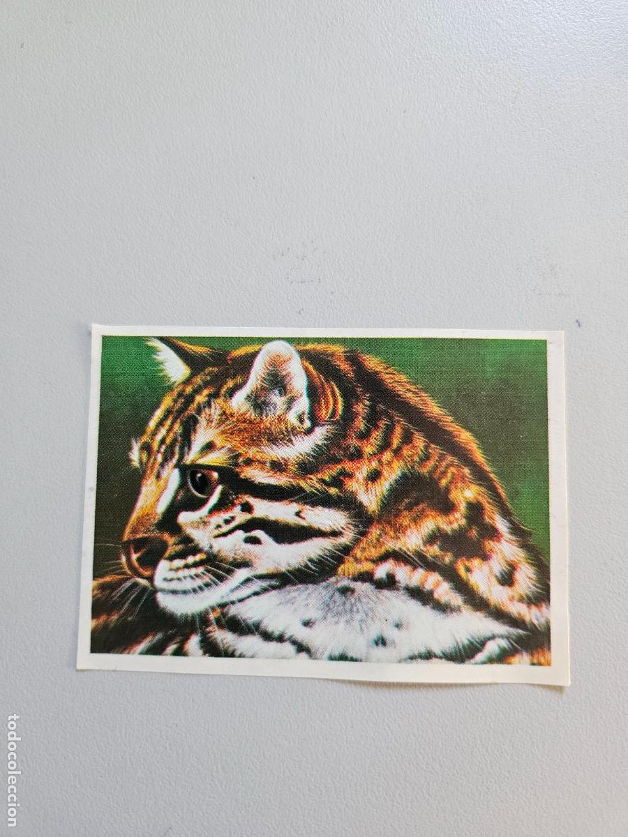 Coleccionismo Cromos antiguos: Panorama animales y plantas cromo n&ordm; 180, &aacute;lbum Maga, 1976