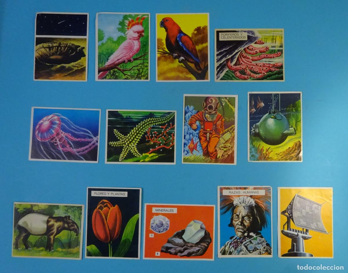 Coleccionismo Cromos antiguos: LOTE CROMOS COLECCI&Oacute;N LA NATURALEZA Y EL HOMBRE N&ordm; 8,22,23,57,59,70,117,119,152,225,246,267,311