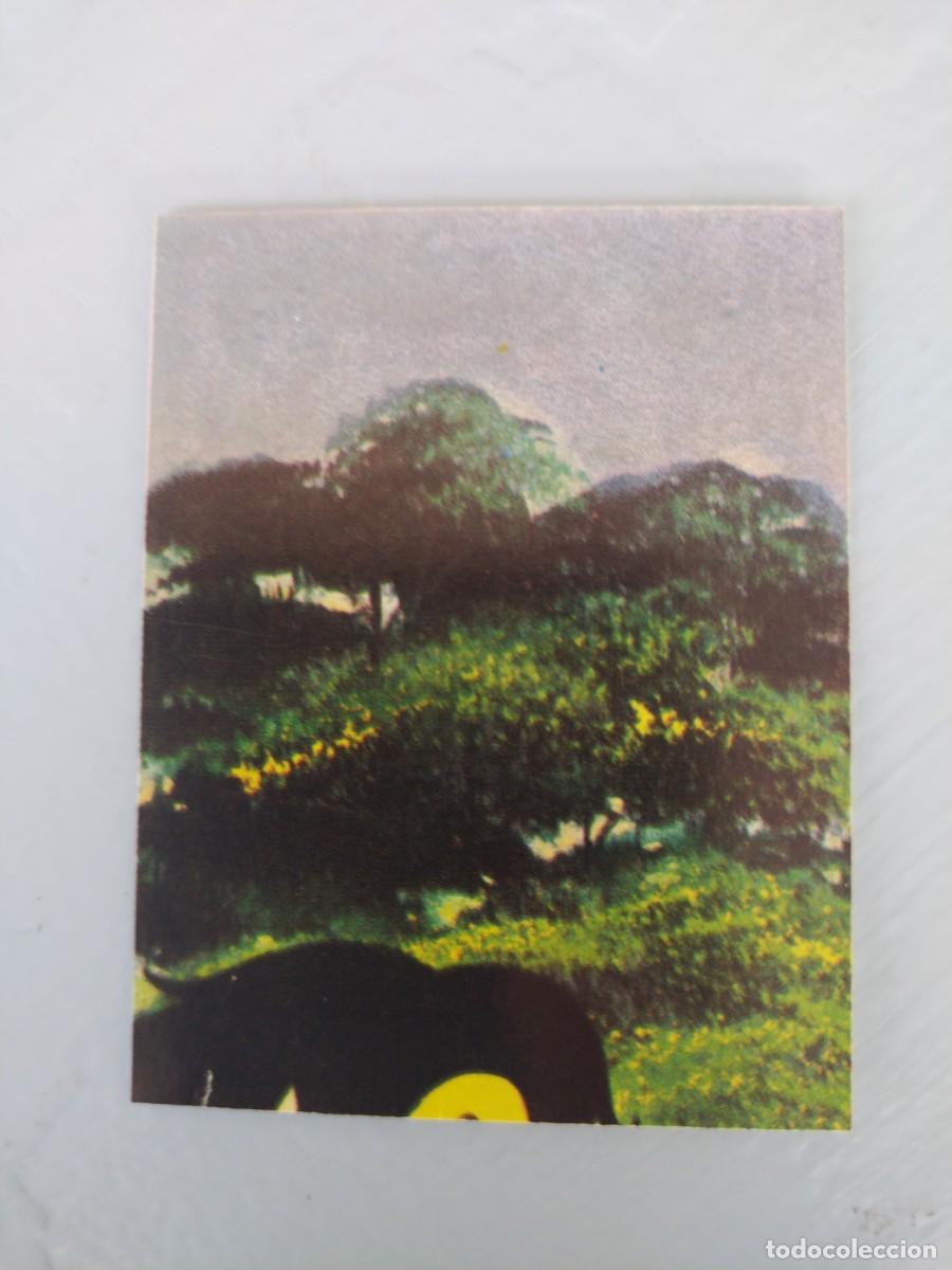 Coleccionismo Cromos antiguos: CROMO del puzzle cromo del ALBUM ICO EL ESP&Iacute;RITU DE LA PRADERA. Edelvives. 1983