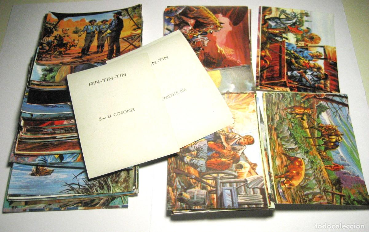 Coleccionismo Cromos antiguos: LOTE DE 95 CROMOS RIN-TIN-TIN. MARCO, 1962.