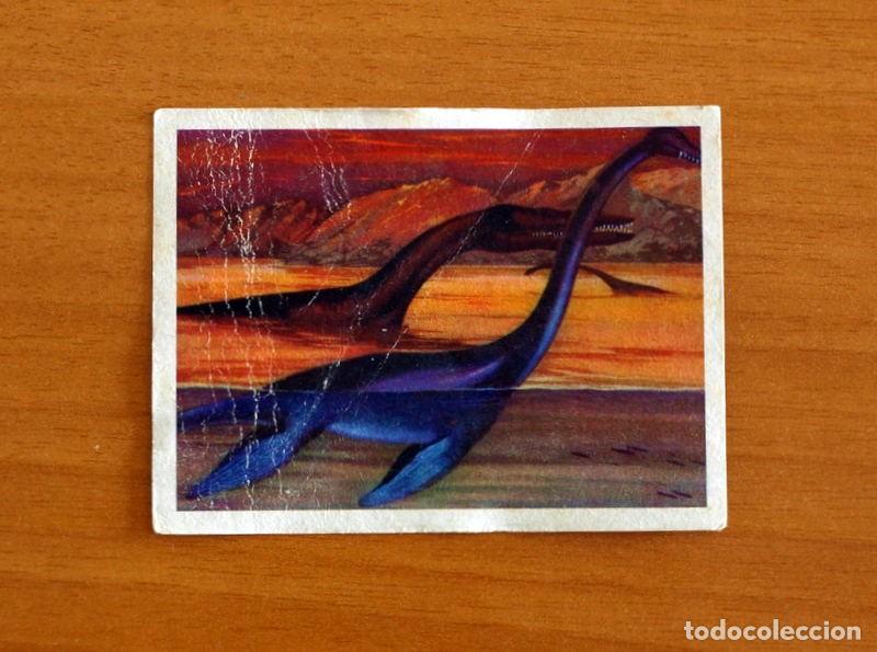 Coleccionismo Cromos antiguos: El Mar Fuente de Vida - Cromo N&ordm; 12 - Editorial Ruiz Romero A&ntilde;o 1973