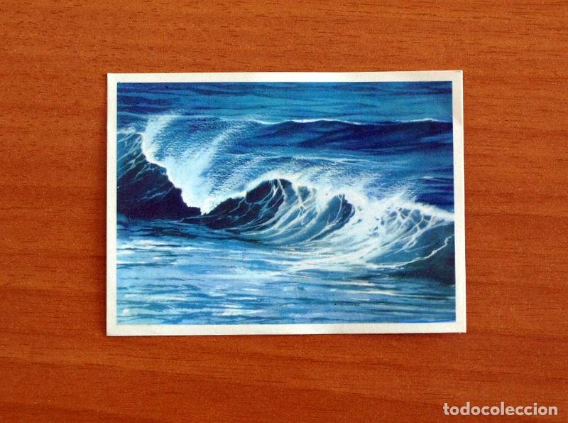 Coleccionismo Cromos antiguos: El Mar Fuente de Vida - Cromo N&ordm; 14 - Editorial Ruiz Romero A&ntilde;o 1973 - Nunca Pegado