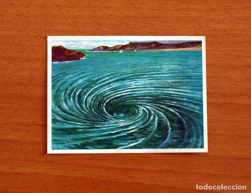 Coleccionismo Cromos antiguos: El Mar Fuente de Vida - Cromo N&ordm; 22 - Editorial Ruiz Romero A&ntilde;o 1973