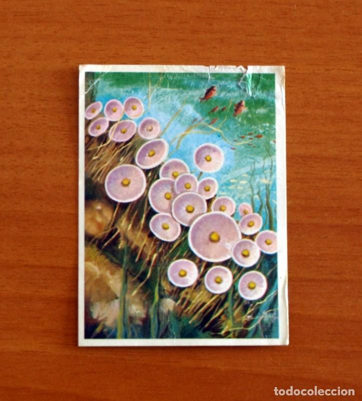 Coleccionismo Cromos antiguos: El Mar Fuente de Vida - Cromo N&ordm; 35 - Editorial Ruiz Romero A&ntilde;o 1973