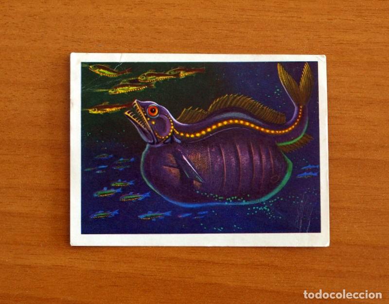 Coleccionismo Cromos antiguos: El Mar Fuente de Vida - Cromo N&ordm; 84 - Editorial Ruiz Romero A&ntilde;o 1973