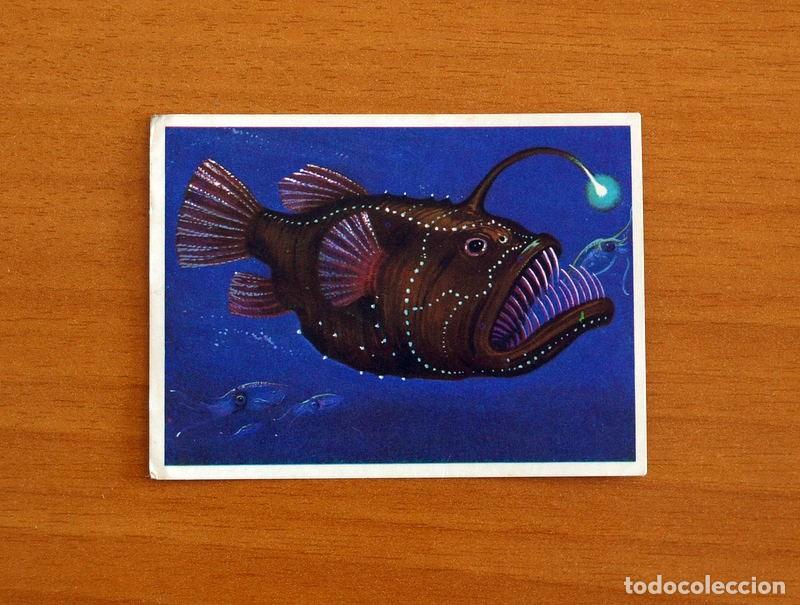 Coleccionismo Cromos antiguos: El Mar Fuente de Vida - Cromo N&ordm; 87 - Editorial Ruiz Romero A&ntilde;o 1973