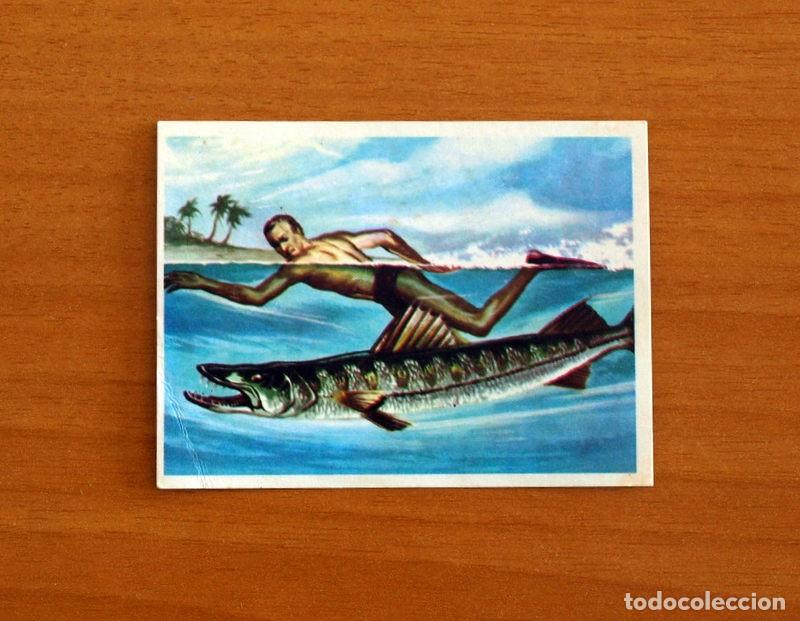 Coleccionismo Cromos antiguos: El Mar Fuente de Vida - Cromo N&ordm; 101 - Editorial Ruiz Romero A&ntilde;o 1973