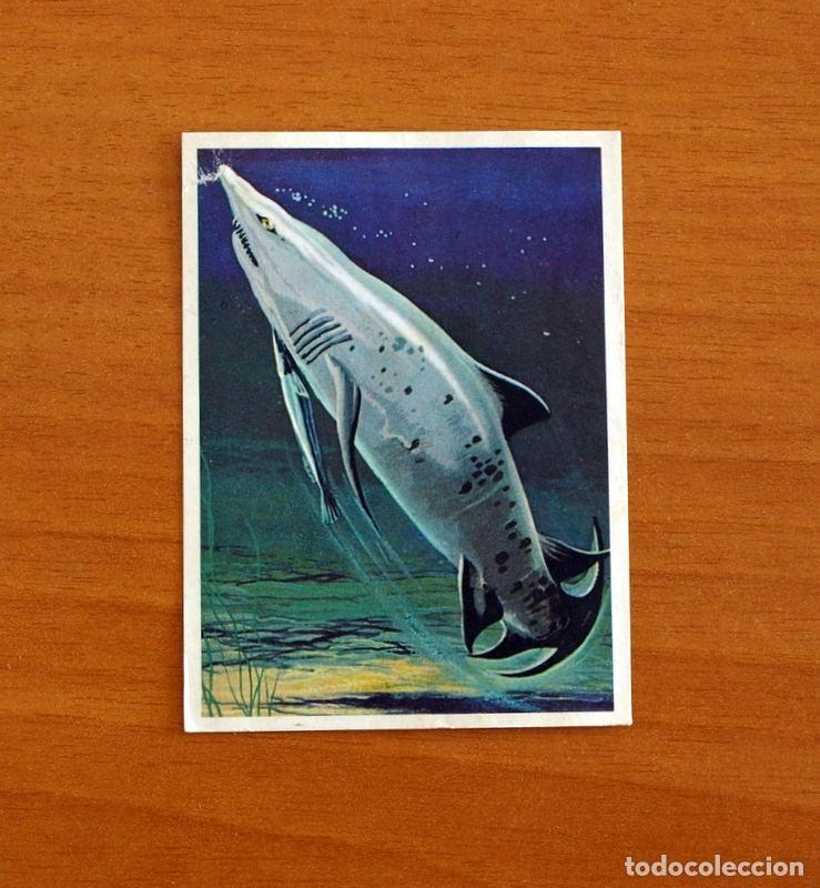 Coleccionismo Cromos antiguos: El Mar Fuente de Vida - Cromo N&ordm; 106 - Editorial Ruiz Romero A&ntilde;o 1973