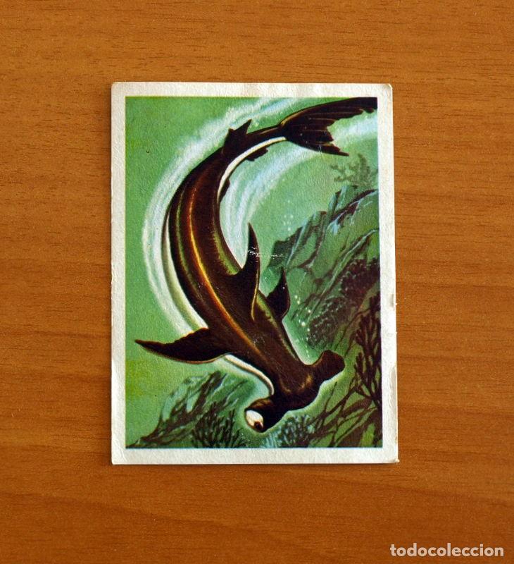 Coleccionismo Cromos antiguos: El Mar Fuente de Vida - Cromo N&ordm; 108 - Editorial Ruiz Romero A&ntilde;o 1973