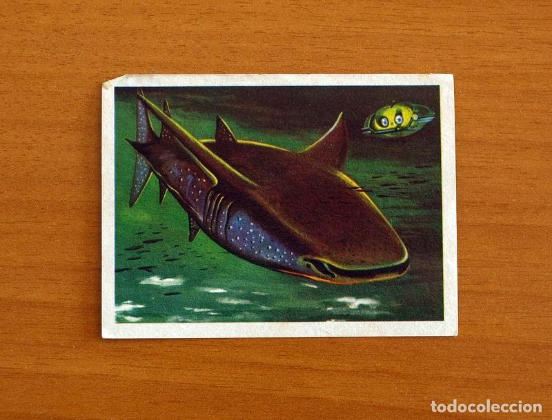 Collectionnisme Cartes &agrave; collectionner anciennes: El Mar Fuente de Vida - Cromo N&ordm; 120 - Editorial Ruiz Romero A&ntilde;o 1973