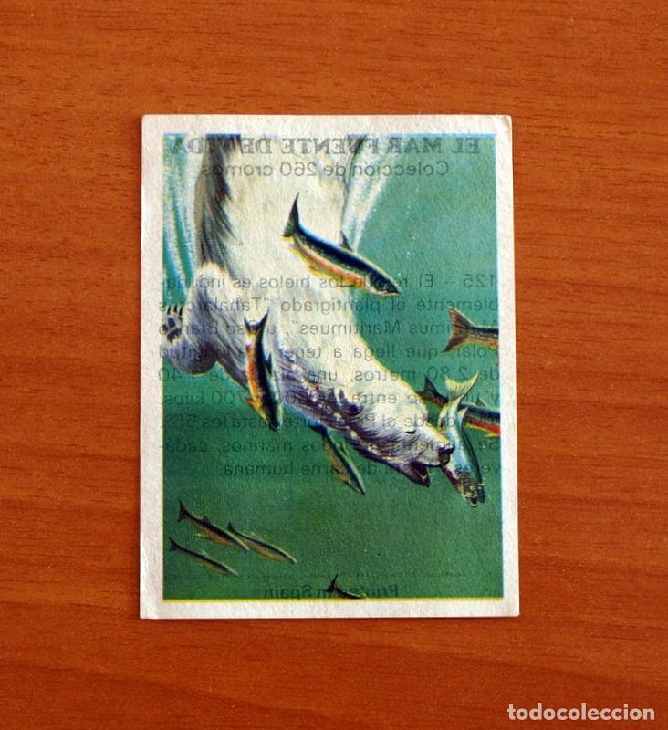 Coleccionismo Cromos antiguos: El Mar Fuente de Vida - Cromo N&ordm; 125 - Editorial Ruiz Romero A&ntilde;o 1973