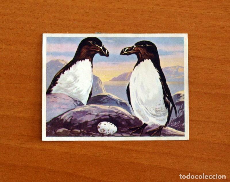 Coleccionismo Cromos antiguos: El Mar Fuente de Vida - Cromo N&ordm; 130 - Editorial Ruiz Romero A&ntilde;o 1973