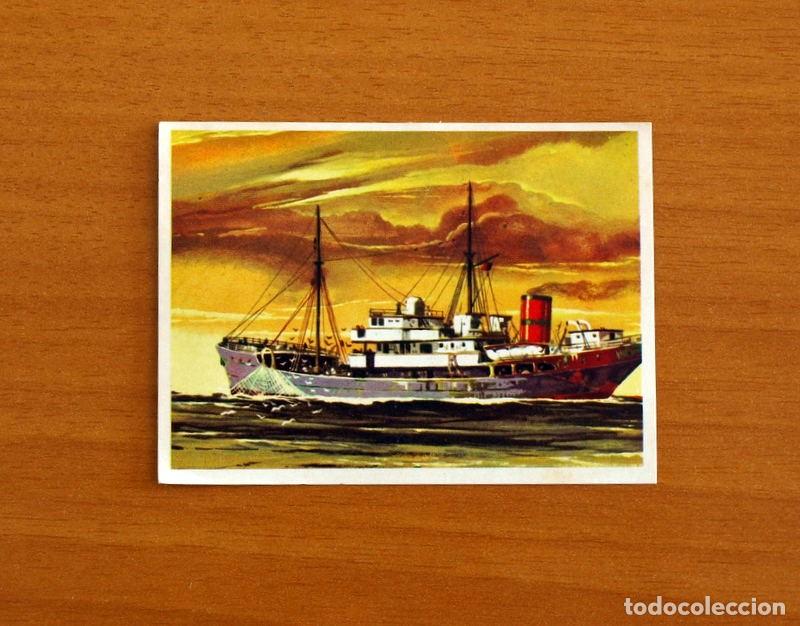 Coleccionismo Cromos antiguos: El Mar Fuente de Vida - Cromo N&ordm; 143 - Editorial Ruiz Romero A&ntilde;o 1973