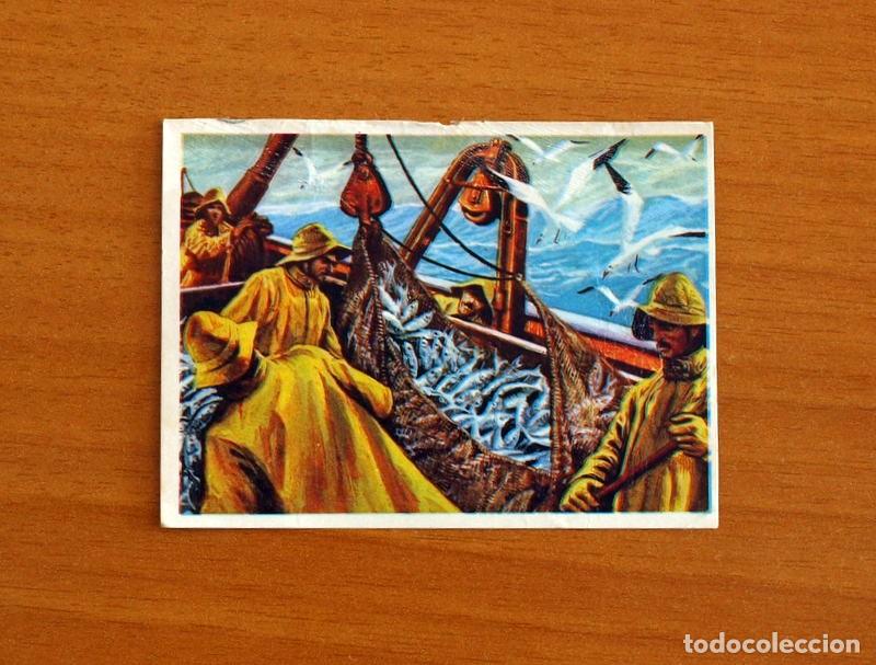 Coleccionismo Cromos antiguos: El Mar Fuente de Vida - Cromo N&ordm; 147 - Editorial Ruiz Romero A&ntilde;o 1973