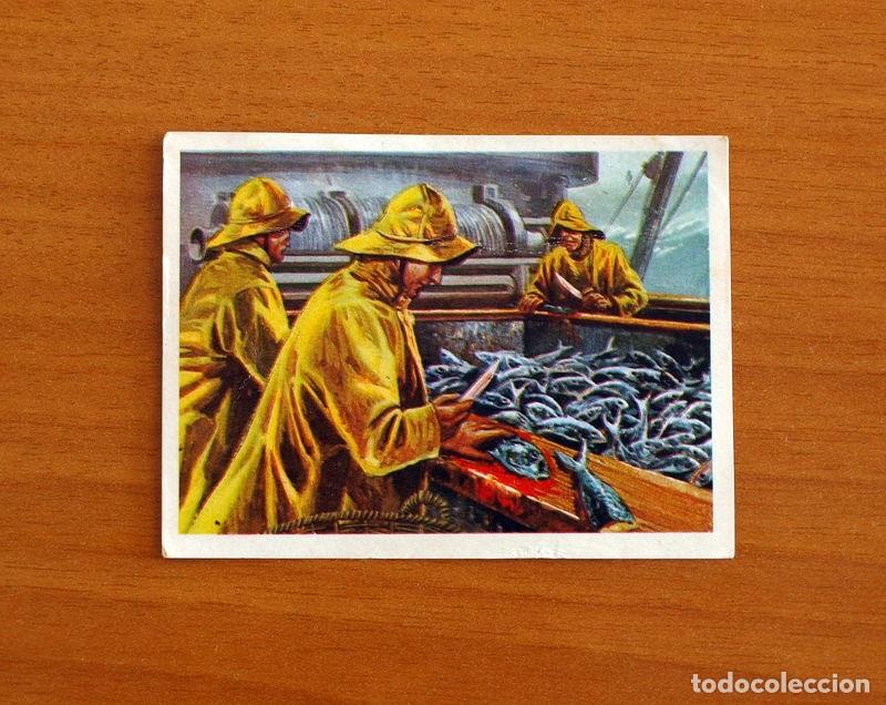 Coleccionismo Cromos antiguos: El Mar Fuente de Vida - Cromo N&ordm; 148 - Editorial Ruiz Romero A&ntilde;o 1973