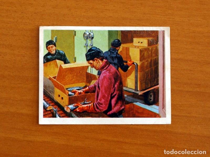 Coleccionismo Cromos antiguos: El Mar Fuente de Vida - Cromo N&ordm; 149 - Editorial Ruiz Romero A&ntilde;o 1973