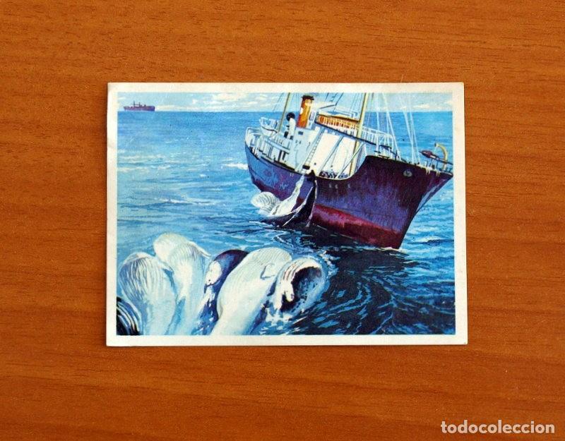 Coleccionismo Cromos antiguos: El Mar Fuente de Vida - Cromo N&ordm; 156 - Editorial Ruiz Romero A&ntilde;o 1973