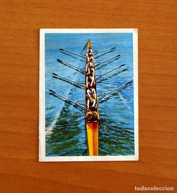 Coleccionismo Cromos antiguos: El Mar Fuente de Vida - Cromo N&ordm; 161 - Editorial Ruiz Romero A&ntilde;o 1973