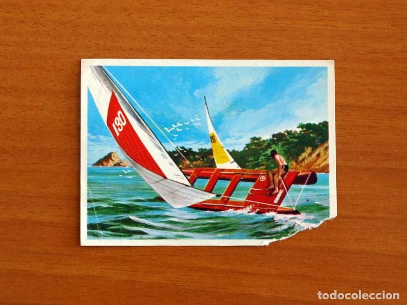 Coleccionismo Cromos antiguos: El Mar Fuente de Vida - Cromo N&ordm; 163 - Editorial Ruiz Romero A&ntilde;o 1973