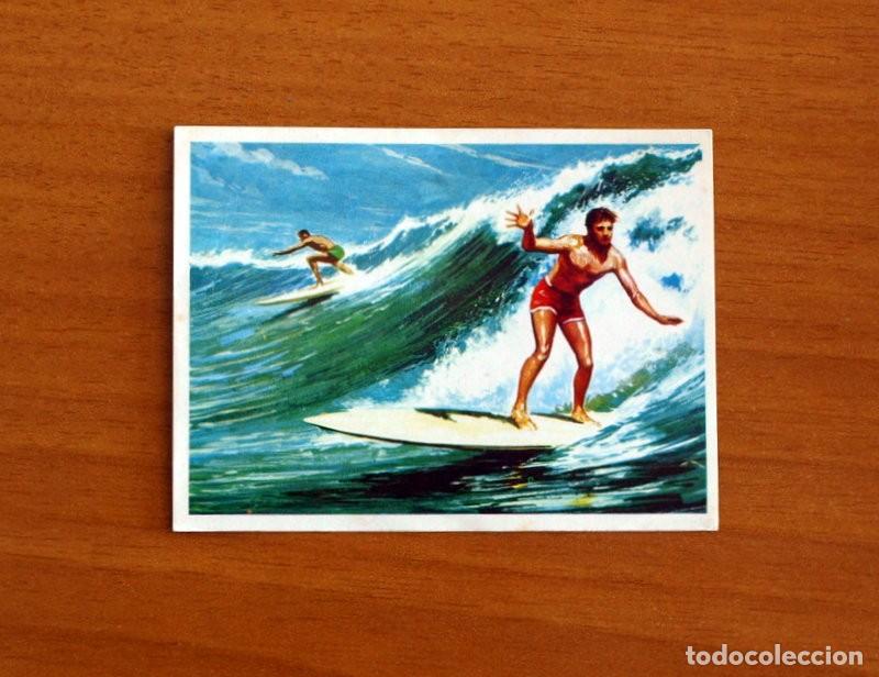 Coleccionismo Cromos antiguos: El Mar Fuente de Vida - Cromo N&ordm; 167 - Editorial Ruiz Romero A&ntilde;o 1973