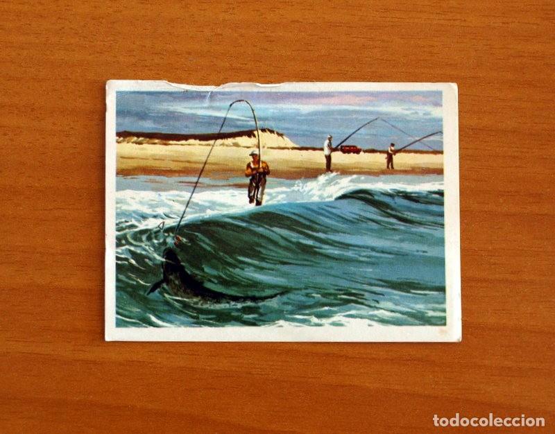 Coleccionismo Cromos antiguos: El Mar Fuente de Vida - Cromo N&ordm; 168 - Editorial Ruiz Romero A&ntilde;o 1973