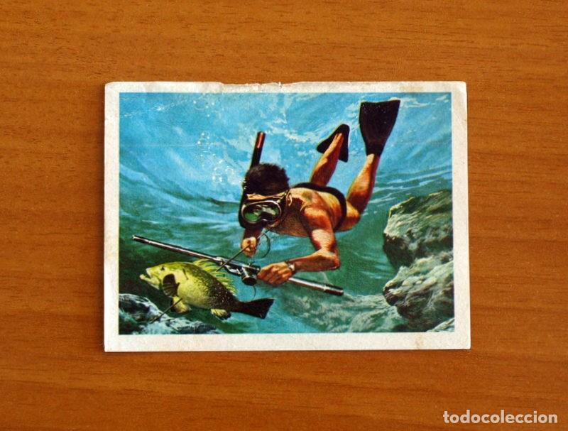 Coleccionismo Cromos antiguos: El Mar Fuente de Vida - Cromo N&ordm; 169 - Editorial Ruiz Romero A&ntilde;o 1973