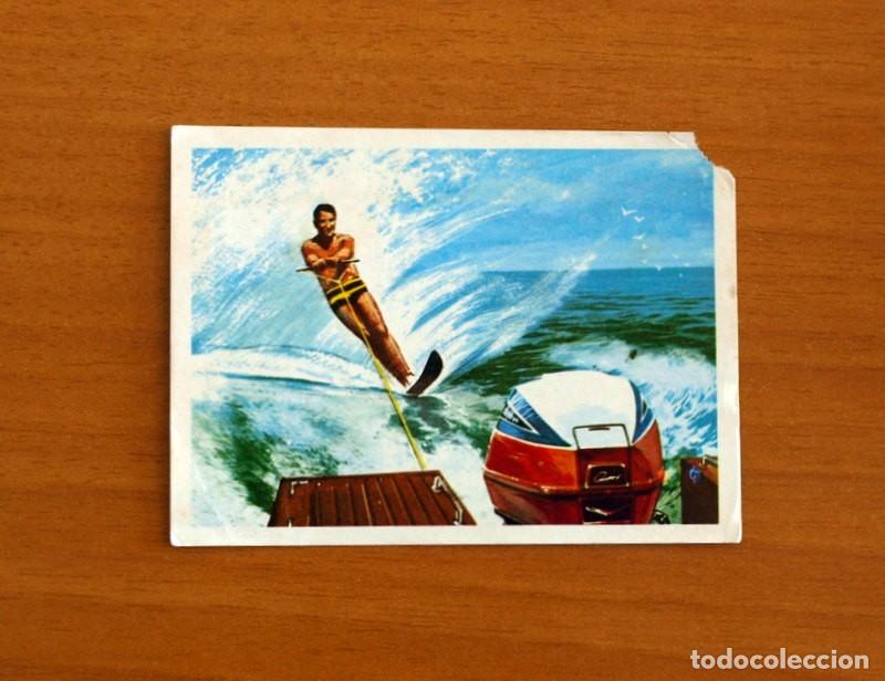 Coleccionismo Cromos antiguos: El Mar Fuente de Vida - Cromo N&ordm; 170 - Editorial Ruiz Romero A&ntilde;o 1973