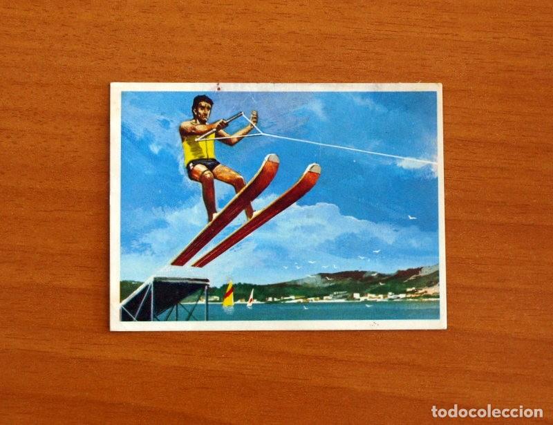 Coleccionismo Cromos antiguos: El Mar Fuente de Vida - Cromo N&ordm; 171 - Editorial Ruiz Romero A&ntilde;o 1973