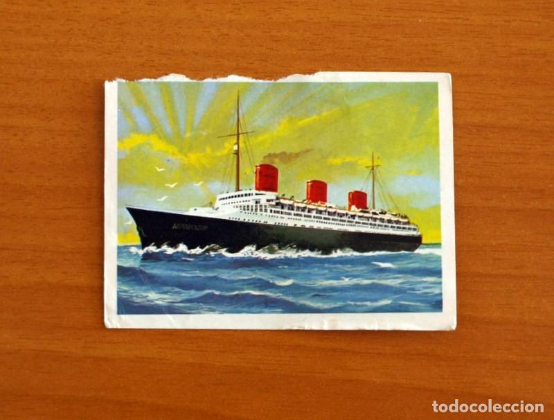 Coleccionismo Cromos antiguos: El Mar Fuente de Vida - Cromo N&ordm; 186 - Editorial Ruiz Romero A&ntilde;o 1973