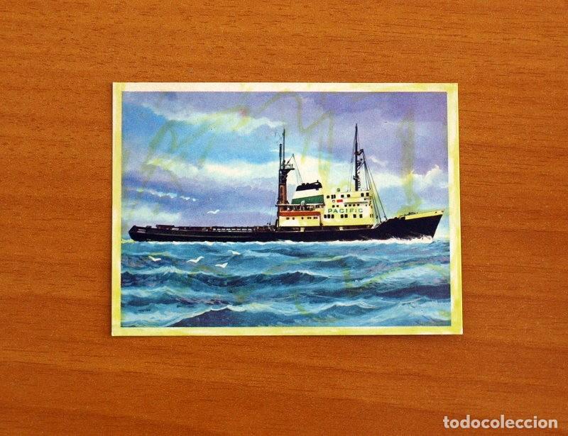 Coleccionismo Cromos antiguos: El Mar Fuente de Vida - Cromo N&ordm; 204 - Editorial Ruiz Romero A&ntilde;o 1973