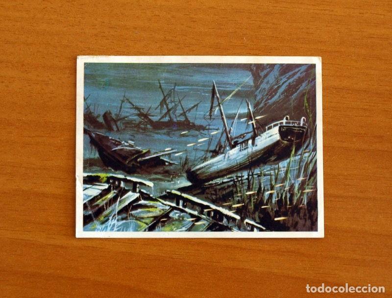 Coleccionismo Cromos antiguos: El Mar Fuente de Vida - Cromo N&ordm; 214 - Editorial Ruiz Romero A&ntilde;o 1973