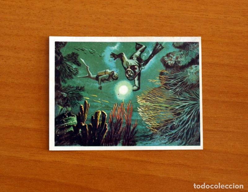 Coleccionismo Cromos antiguos: El Mar Fuente de Vida - Cromo N&ordm; 230 - Editorial Ruiz Romero A&ntilde;o 1973