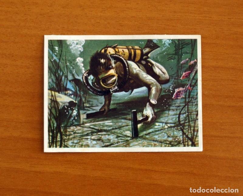 Coleccionismo Cromos antiguos: El Mar Fuente de Vida - Cromo N&ordm; 240 - Editorial Ruiz Romero A&ntilde;o 1973