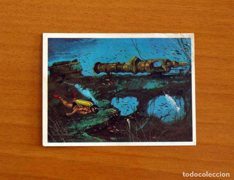 Coleccionismo Cromos antiguos: El Mar Fuente de Vida - Cromo N&ordm; 241 - Editorial Ruiz Romero A&ntilde;o 1973