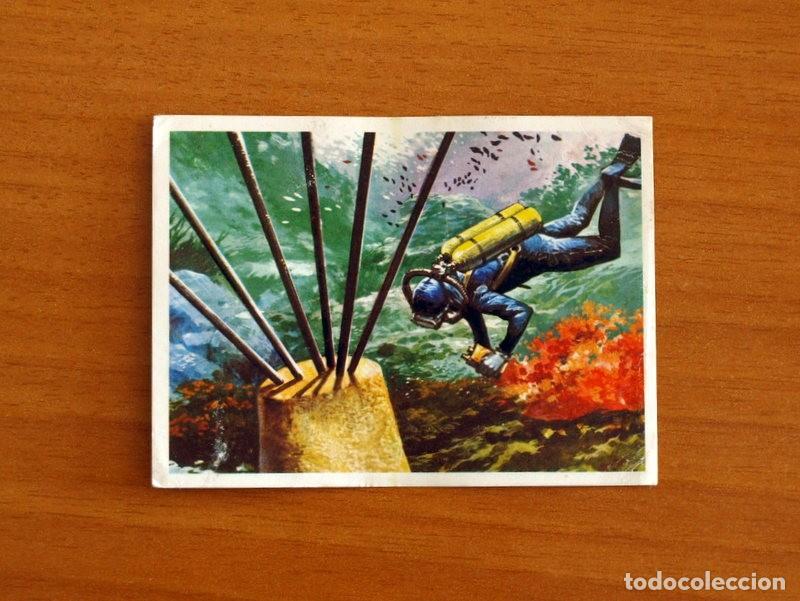 Sammeln alte Sammelbilder: El Mar Fuente de Vida - Cromo N&ordm; 248 - Editorial Ruiz Romero A&ntilde;o 1973