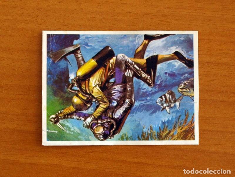 Coleccionismo Cromos antiguos: El Mar Fuente de Vida - Cromo N&ordm; 250 - Editorial Ruiz Romero A&ntilde;o 1973