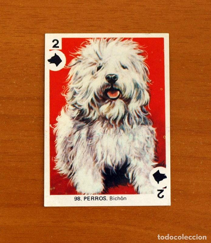 Coleccionismo Cromos antiguos: Juegos de Familia - N&ordm; 98 Perros. Bich&oacute;n - Editorial Maga A&ntilde;o 1978 - Nunca pegado