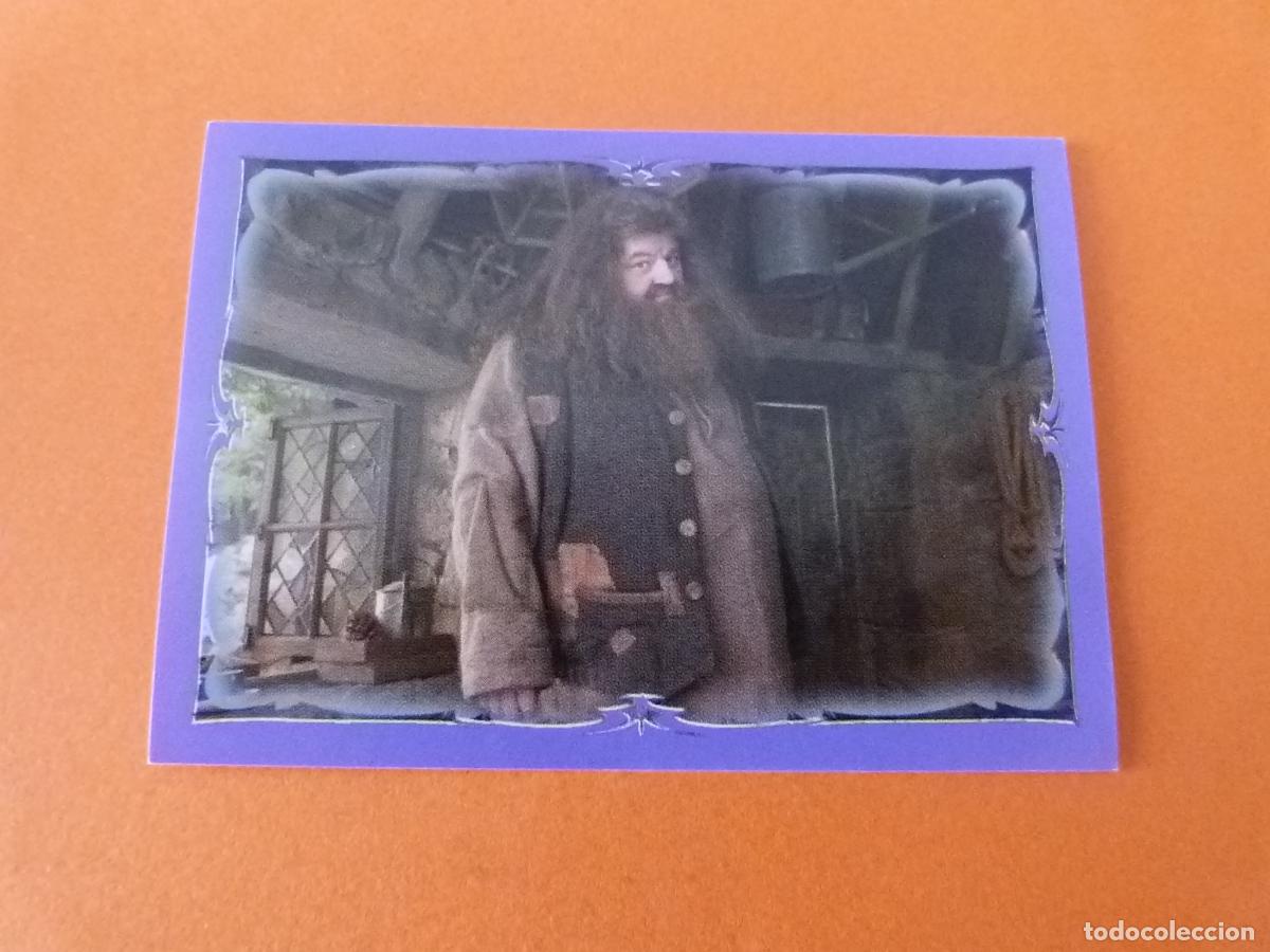 Coleccionismo Cromos antiguos: CROMO HARRY POTTER Y EL PRISIONERO DE AZKABAN SIN PEGAR N&ordm; 141 A&Ntilde;O 2004 ALBUM H.P. AZKABAN PANINI