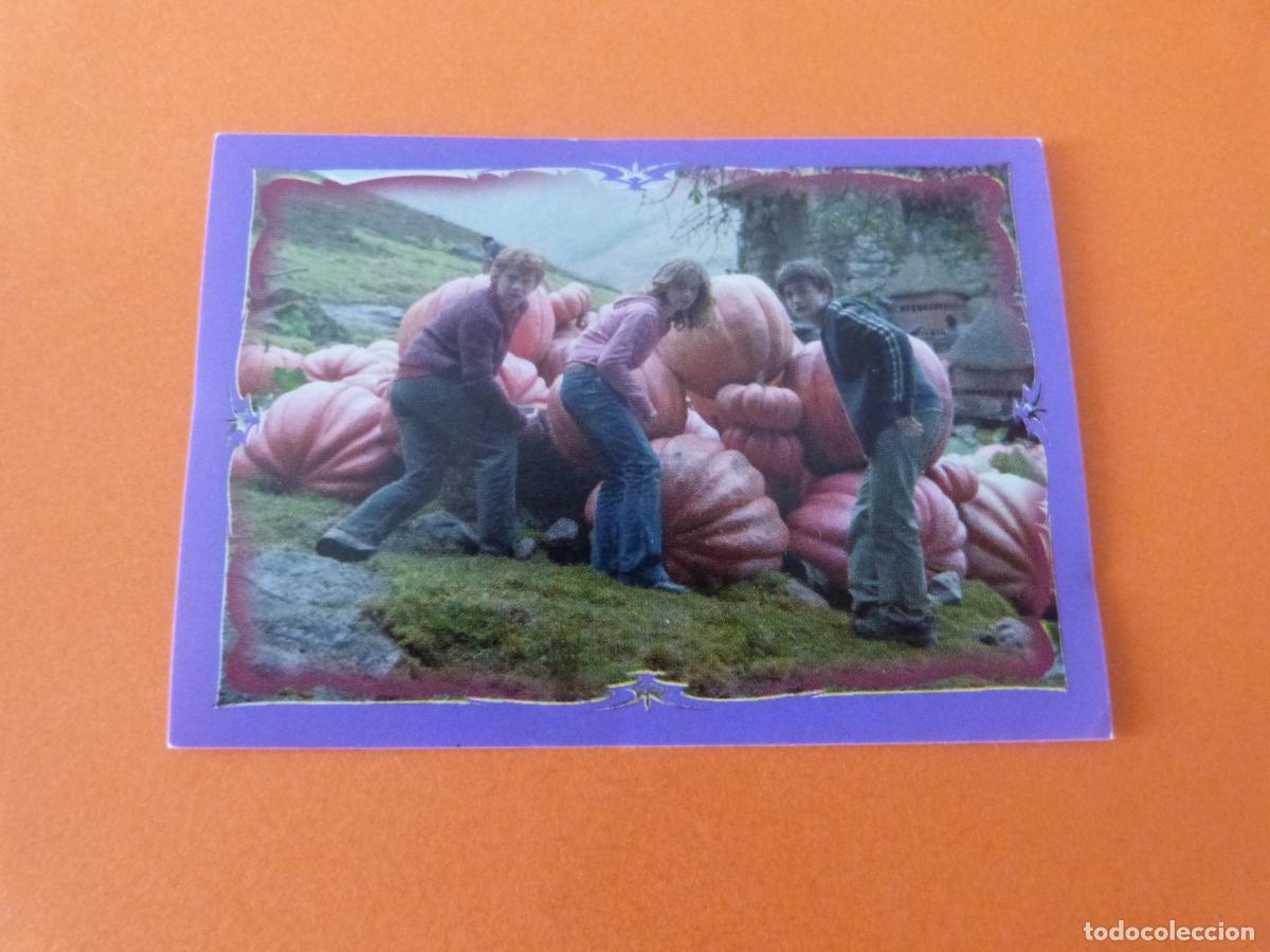 Coleccionismo Cromos antiguos: CROMO HARRY POTTER Y EL PRISIONERO DE AZKABAN SIN PEGAR N&ordm; 146 A&Ntilde;O 2004 ALBUM H.P. AZKABAN PANINI