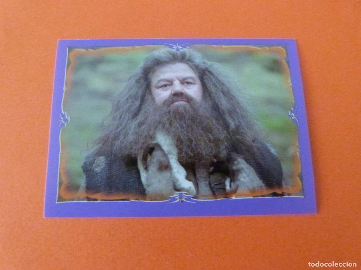 Coleccionismo Cromos antiguos: CROMO HARRY POTTER Y EL PRISIONERO DE AZKABAN SIN PEGAR N&ordm; 197 A&Ntilde;O 2004 ALBUM H.P. AZKABAN PANINI